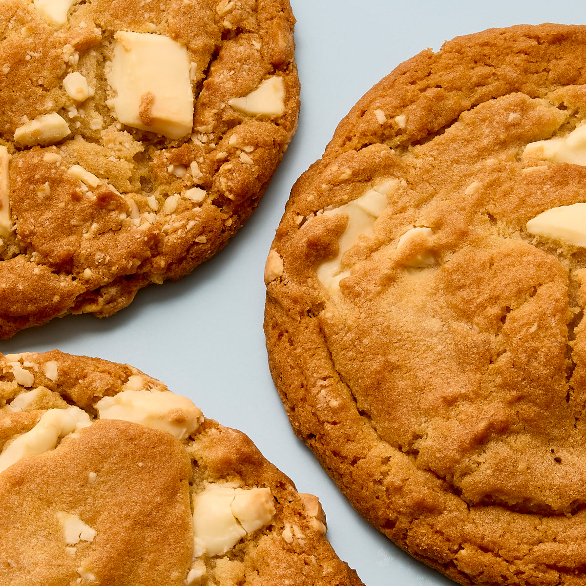White Chocolate Chunk Cookie