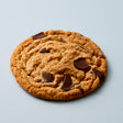 Peanut Butter Chocolate Chunk Cookie
