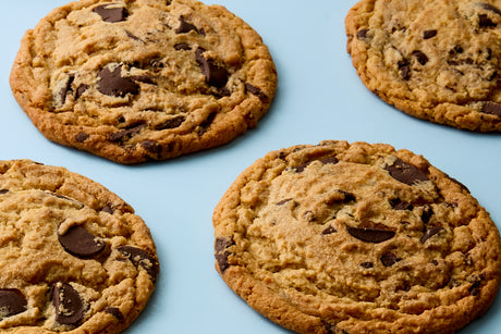 Peanut Butter Chocolate Chunk Cookie