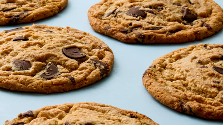 Peanut Butter Chocolate Chunk Cookie