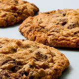 Oatmeal Chocolate Chunk Cookie