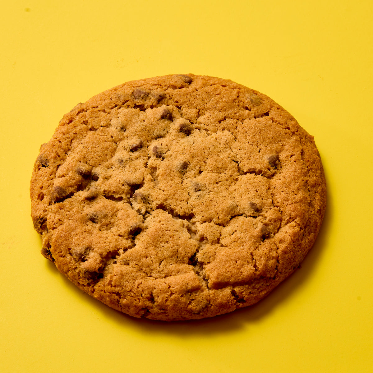 Gluten Free Chocolate Chip Cookie
