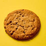 Gluten Free Chocolate Chip Cookie