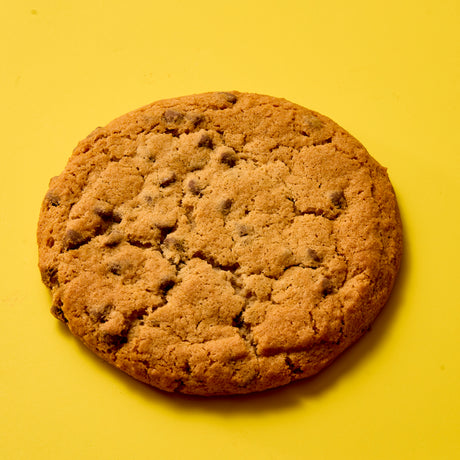 Gluten Free Chocolate Chip Cookie