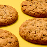 Gluten Free Chocolate Chip Cookie