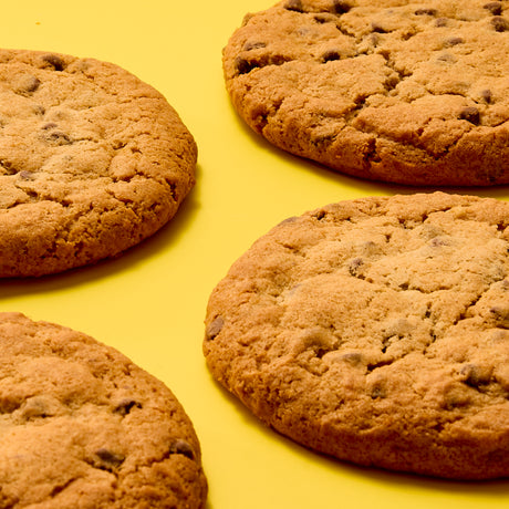 Gluten Free Chocolate Chip Cookie