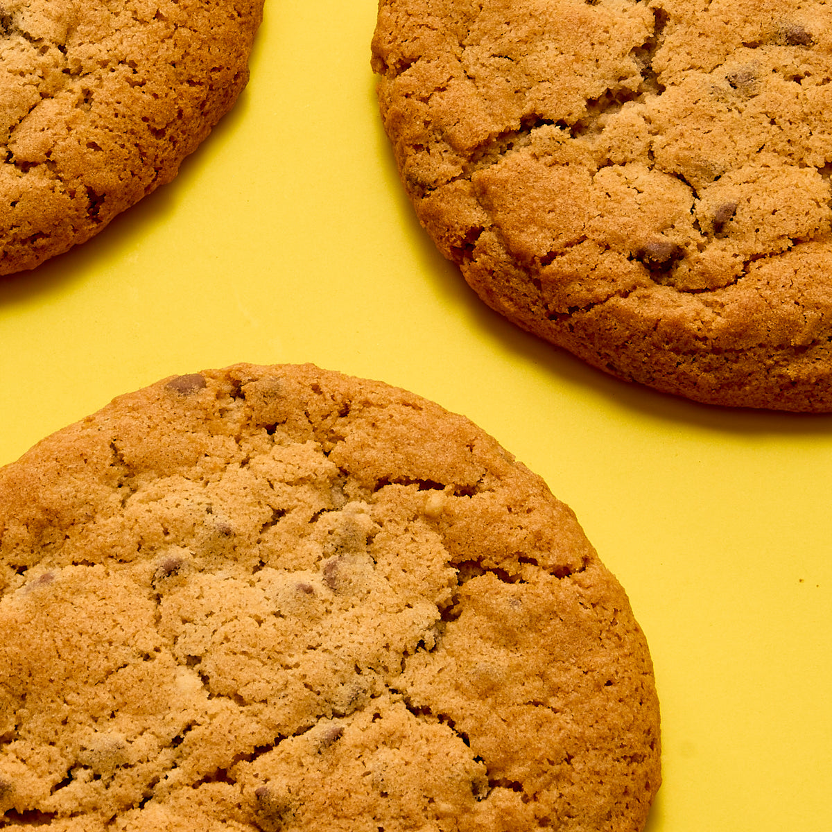 Gluten Free Chocolate Chip Cookie